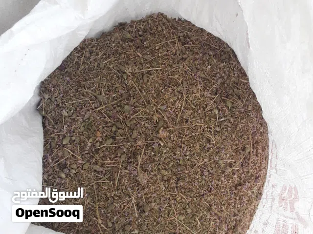 زعتر للبيع شكارتين ماشاء الله قصر الاخيار
