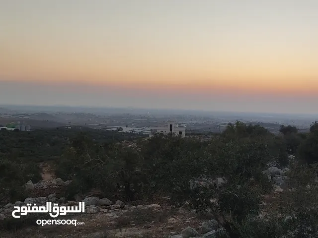 قطعة ارض مطلة عالساحل المحتل