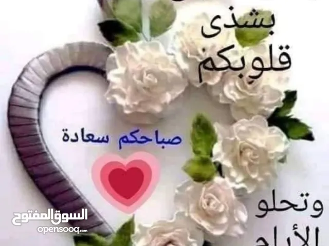 زهره الياسمين