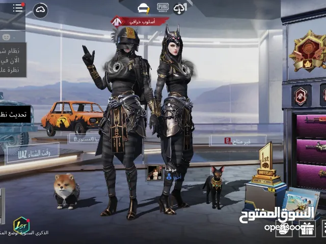 Pubg Accounts and Characters for Sale in Babylon