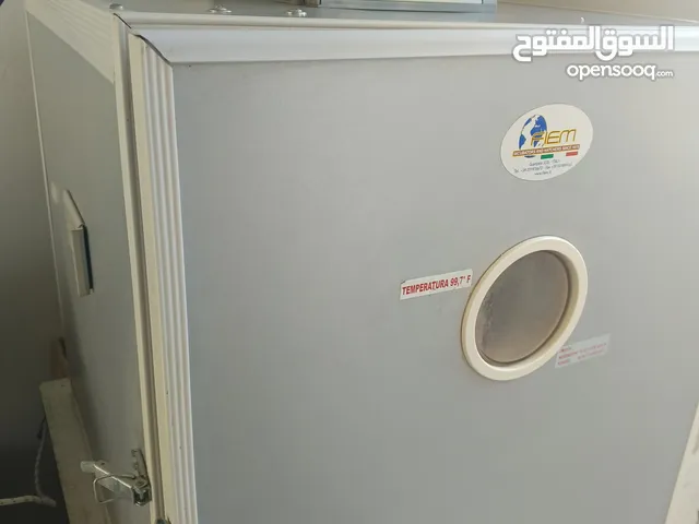 مطلوب مطلوب مطلوب فقاسات فيم فقط لاغير