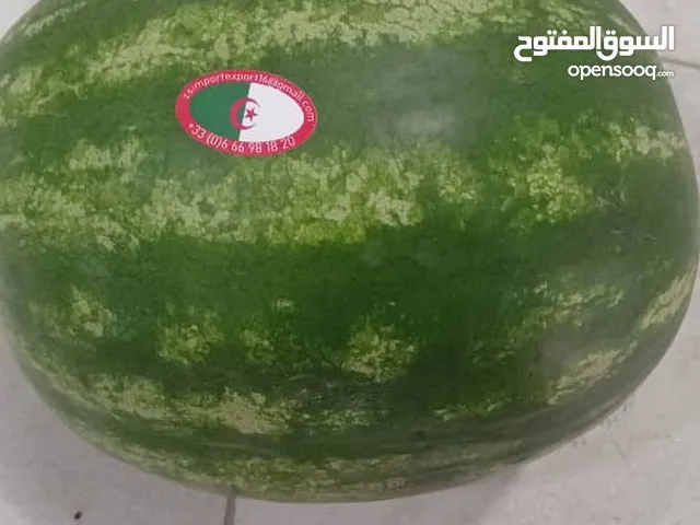 تصدير مواد غذائية عامة خضر و فواكه