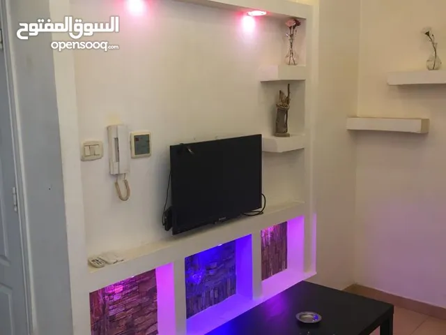 استديو مفروش بالجاردنز