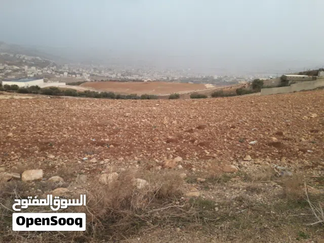 Residential Land for Sale in Amman Safut