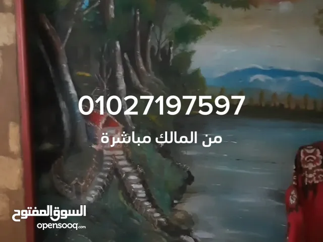 دور كامل شقتين مفتوحين على بعض يمكن قسمتهم بالمعمورة