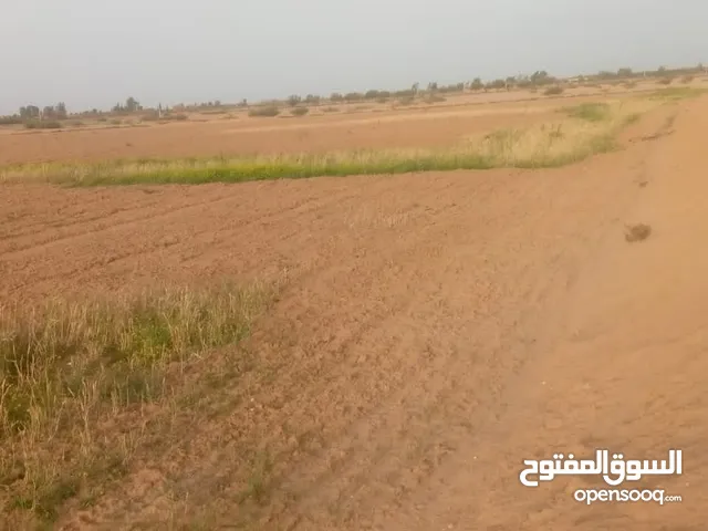 Farm Land for Sale in Marrakesh Other