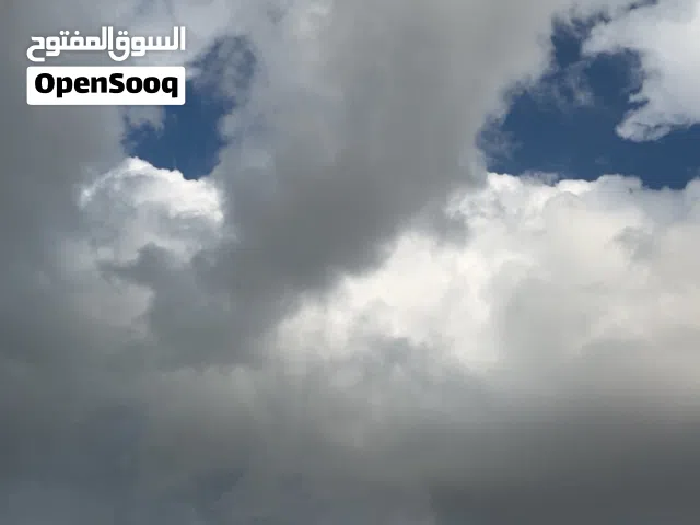 مطلوب تبني عصافير الي مايبيه حقاته و التوصيل عليك