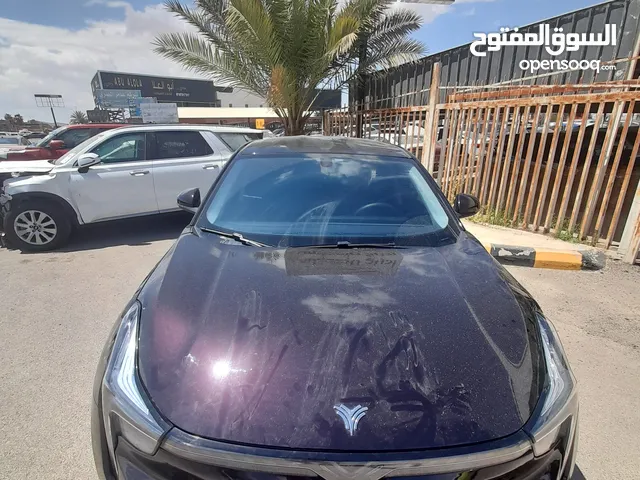 Used Neta U in Zarqa