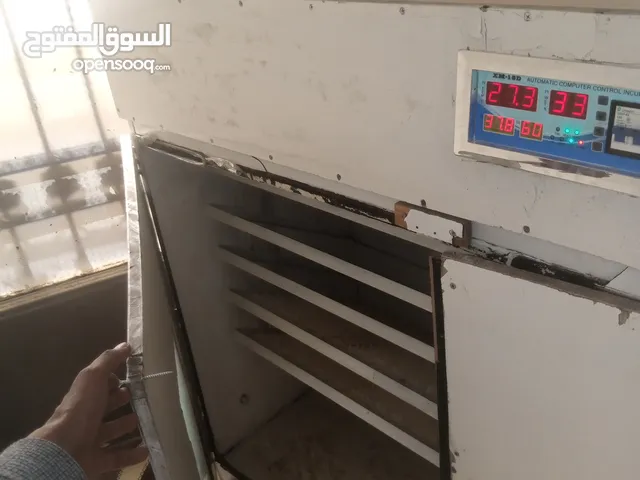 فقاسة للبيع بسعر حرررق عين الباشا
