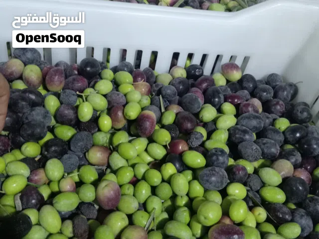 زيت زيتون اكسترا