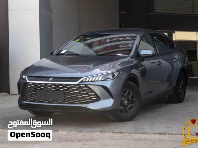 2025, بي واي دي, كين