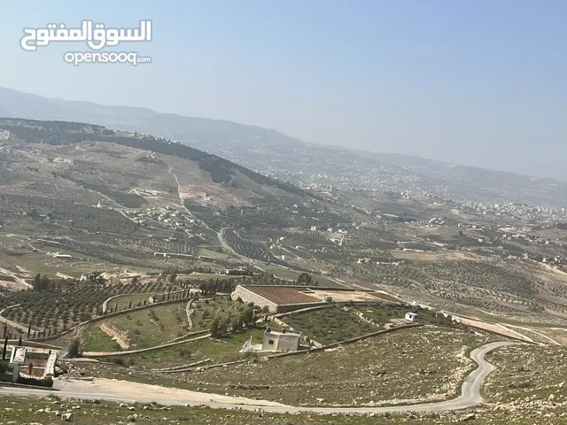 Mixed Use Land for Sale in Jerash Unaybah