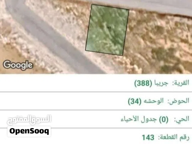 جريبا حوض الوحشة اسكان الجامعة الهاشمية