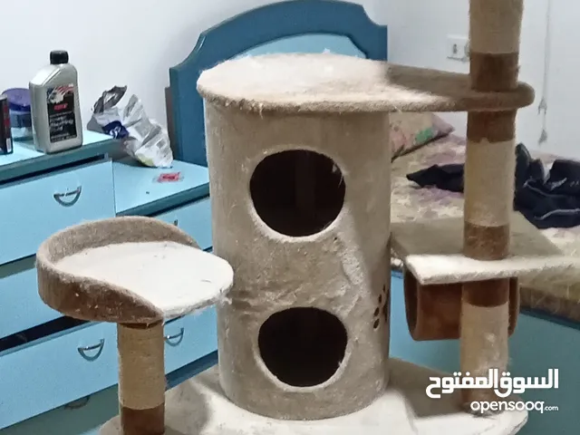 House for 1 or 4 cats