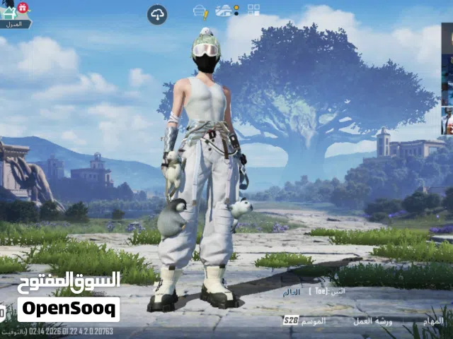 Pubg Accounts and Characters for Sale in Salt