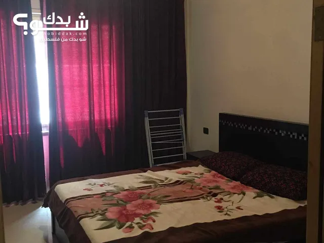 75m2 Studio Apartments for Rent in Nablus Rafidia