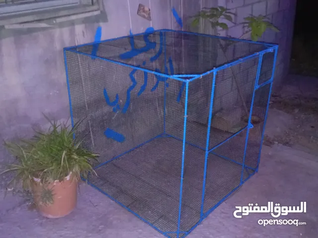 جاج للحمام للعصافير ارانب قفص حديد متر ب متر