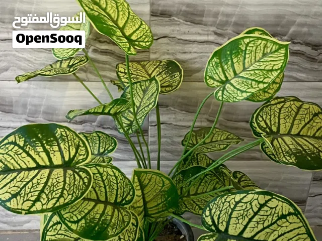 ضليات اصطناعيه واقعية للغاية