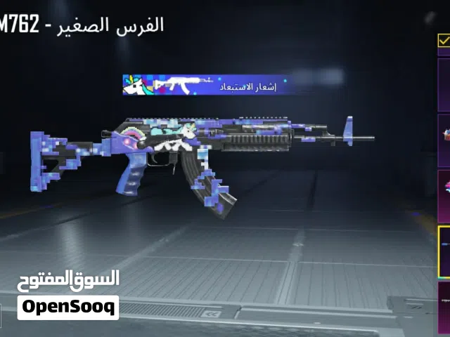 Pubg Accounts and Characters for Sale in Amman