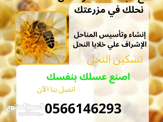 خدمات الإشراف علي خلايا النحل والمناحل