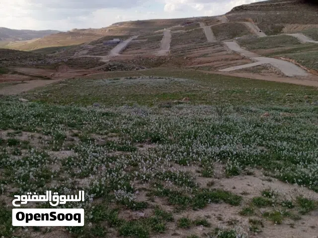 فرصة استثمار وسكن