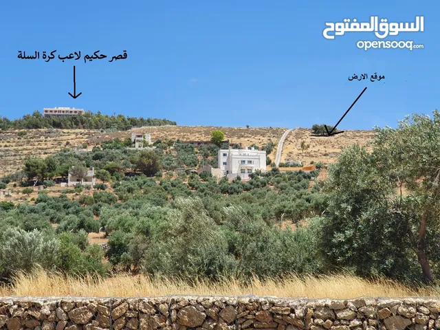 قطعة ارض سكن ريفي موقع مميز ومشرفة اطراف شفا بدران ام رمانة
