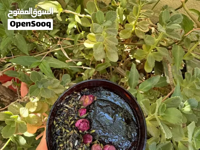 مقشر للجسم