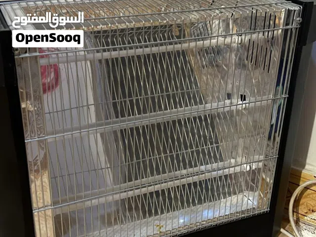 هيترات نضيفات