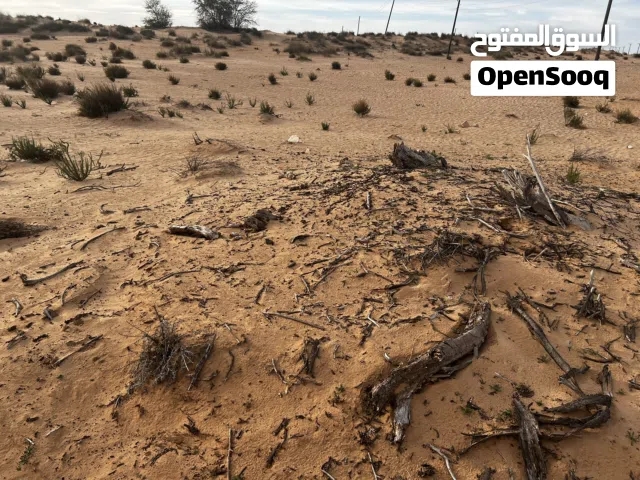 قطعة ارض زراعية بمنطقة أم عزيز بالجميل
