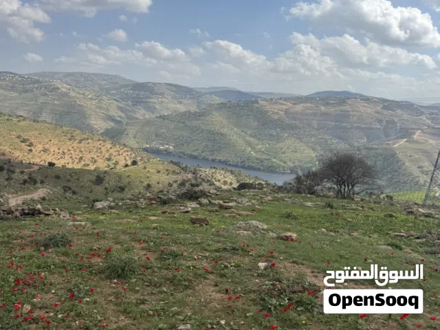 Mixed Use Land for Sale in Jerash Borma