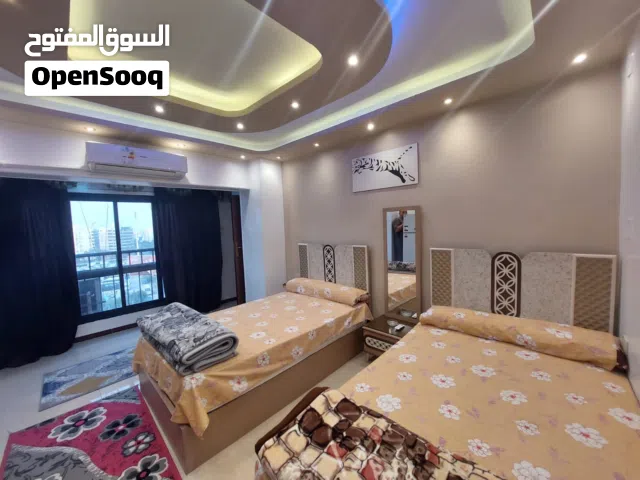 شقه مفروشه باليوم بالميرلاند مصر الجديده