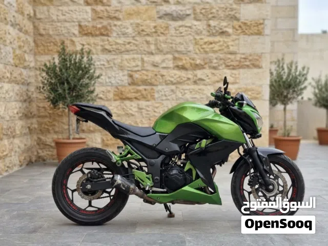 2017 كاواساكي Ninja 300
