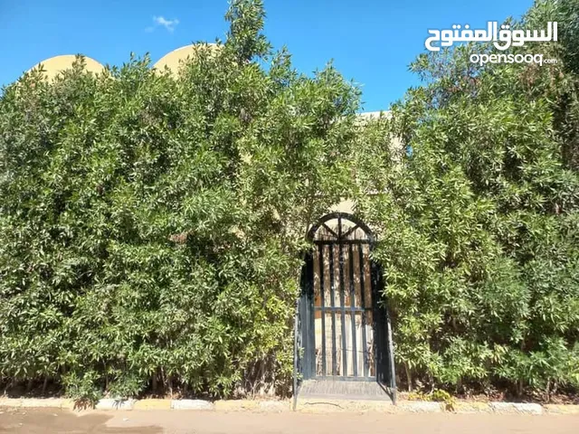 للبيع شقة ارضي بحديقة هرم سيتي