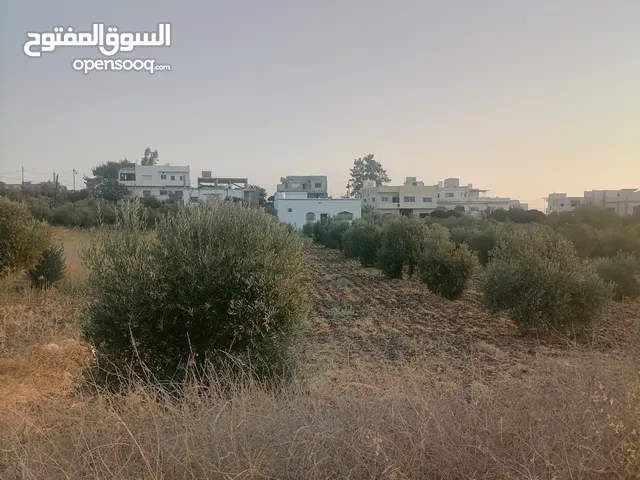 قطعة ارض للبيع على طريق الرئيسي ابو القين الاشرفيه