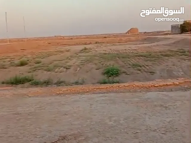 قطع اراضي بلصالحيه للبيع