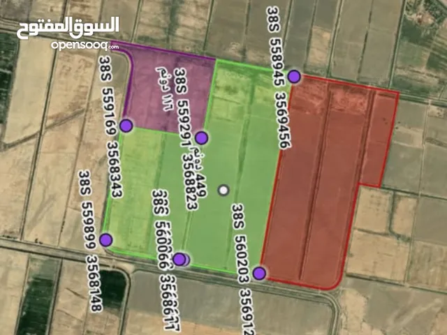 Farm Land for Sale in Wasit Kut