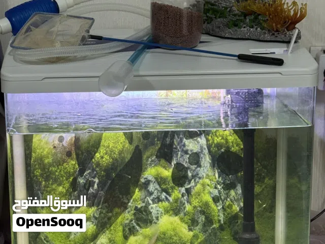 للبيع حوض اسماك مع الاغراض مساحة الحوض 50 مع زينة الأسماك ايضاً