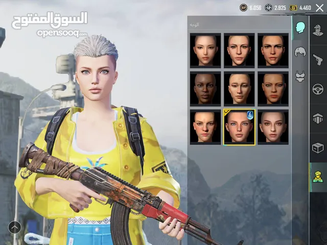 Pubg Accounts and Characters for Sale in Basra