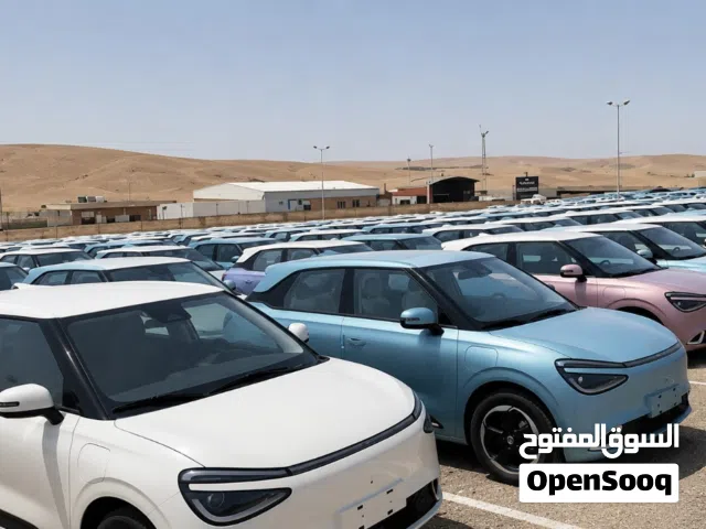 2026 دونج فينج نامي بوكس