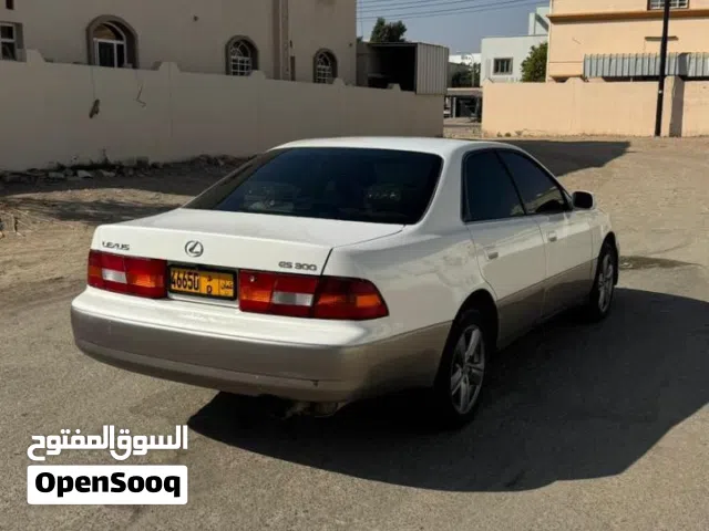 البيع البيع