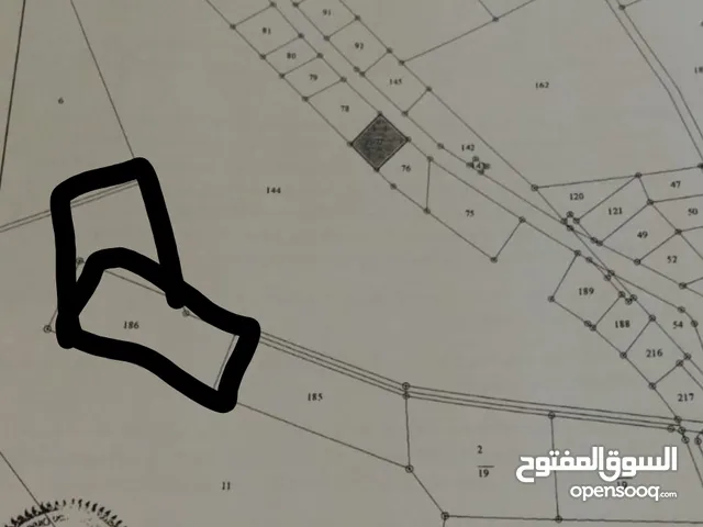 ارض للبيع في لب