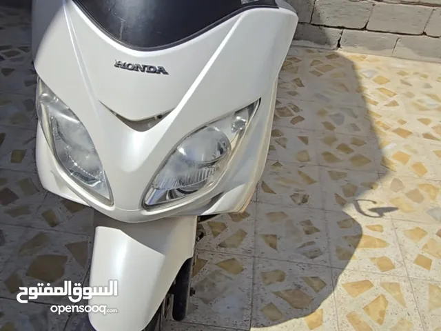 فورزا 08 عميه بلاد