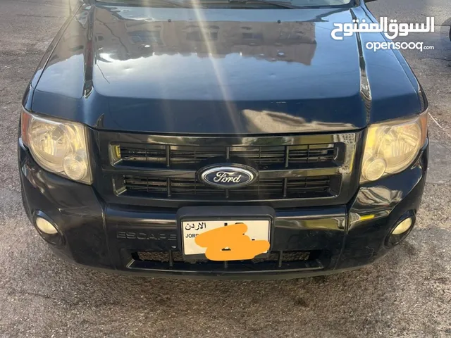 Used Ford Escape in Amman