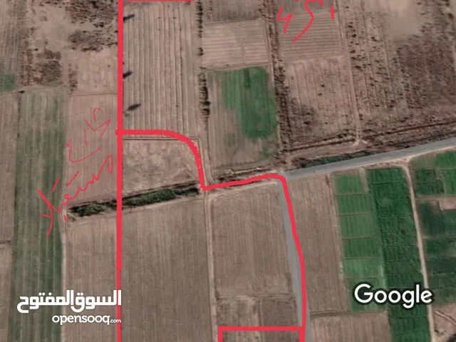 Farm Land for Sale in Baghdad Hor Rajab