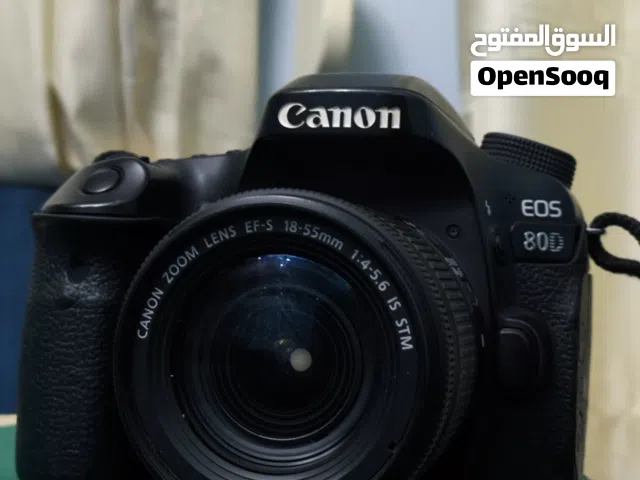 للإيجار اليومي