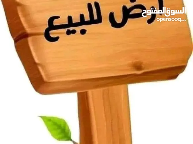 2 هكتار ونص علي الرائسي الكريمية للبيع