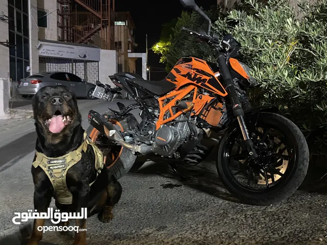 Ktm Duke390