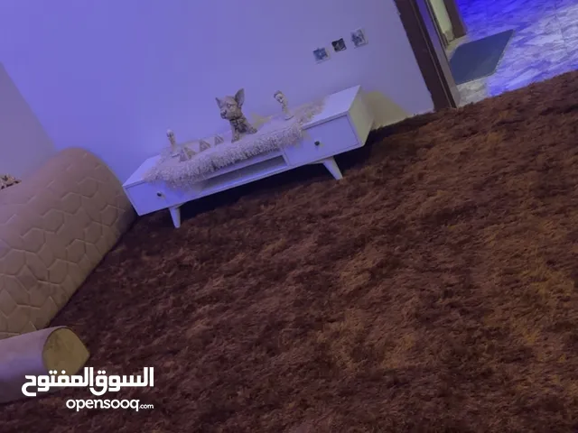210 m2 3 Bedrooms Apartments for Rent in Jeddah Hai Al-Tayseer