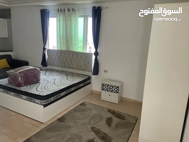 35 m2 1 Bedroom Apartments for Rent in Amman Shafa Badran