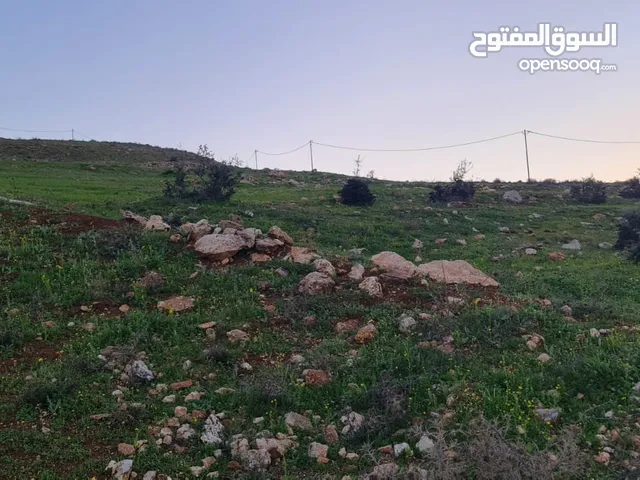 Mixed Use Land for Sale in Jerash Qafqafa